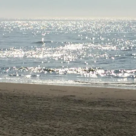 Strandperle 264 Mit Sauna Und Kamin * Julianadorp